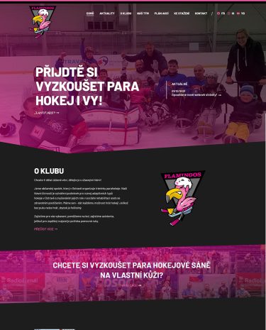 Oficiální web českého parahokejového klubu Flamingos Ostrava - flamingosostrava.cz